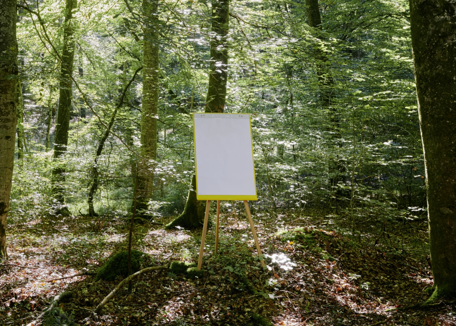 Gelbes Flipchart aus Holz im Wald